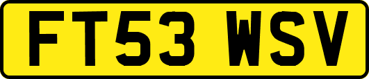 FT53WSV