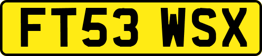 FT53WSX