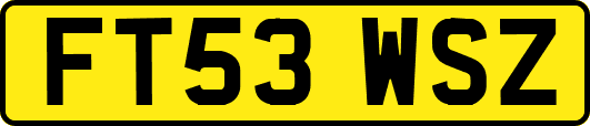 FT53WSZ