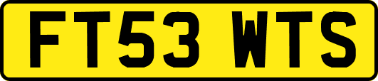 FT53WTS