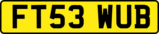 FT53WUB