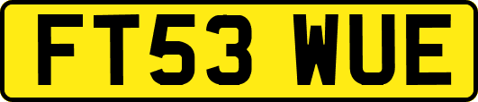 FT53WUE