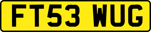 FT53WUG