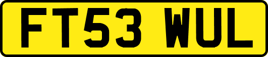 FT53WUL