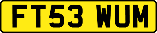 FT53WUM
