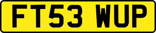 FT53WUP