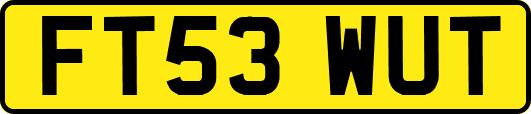 FT53WUT