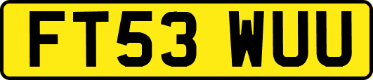FT53WUU