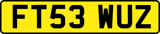 FT53WUZ