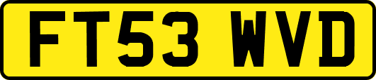 FT53WVD