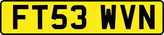FT53WVN