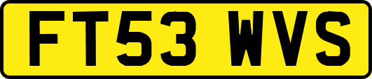 FT53WVS