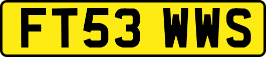 FT53WWS