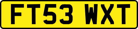 FT53WXT