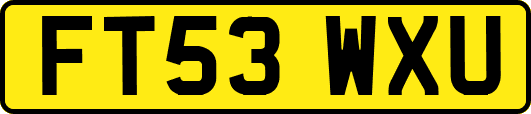 FT53WXU