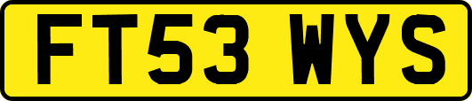 FT53WYS