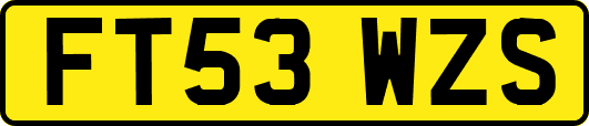 FT53WZS