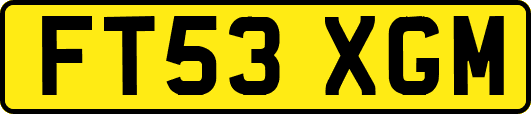 FT53XGM