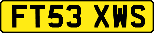 FT53XWS