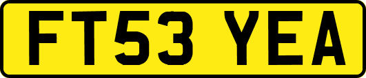 FT53YEA