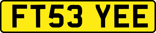 FT53YEE