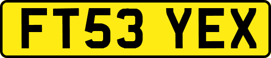 FT53YEX
