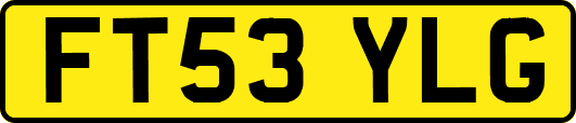 FT53YLG