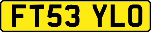 FT53YLO