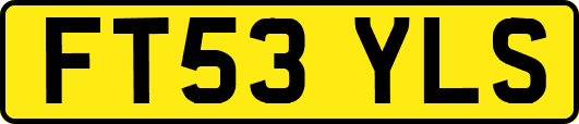 FT53YLS