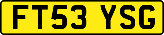 FT53YSG