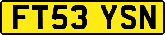 FT53YSN