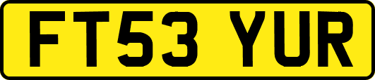 FT53YUR