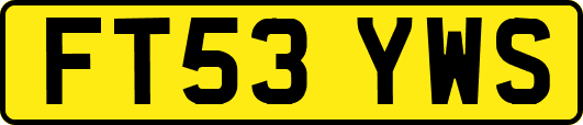 FT53YWS