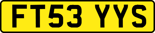 FT53YYS