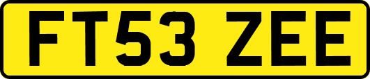 FT53ZEE