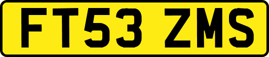FT53ZMS