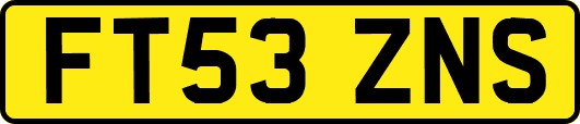FT53ZNS