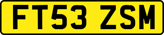 FT53ZSM