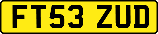 FT53ZUD