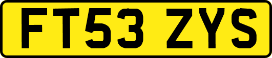 FT53ZYS