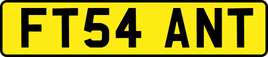 FT54ANT