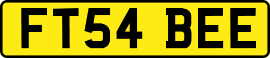 FT54BEE