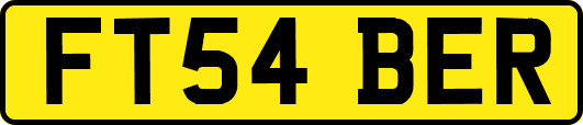 FT54BER