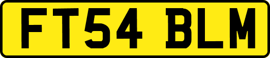 FT54BLM
