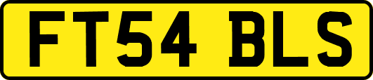 FT54BLS