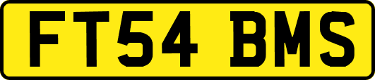 FT54BMS