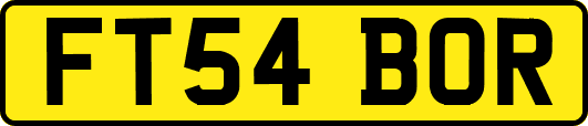 FT54BOR