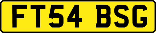 FT54BSG