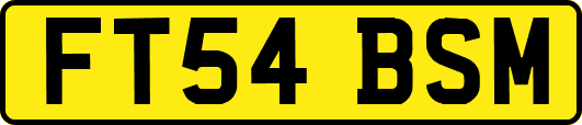 FT54BSM