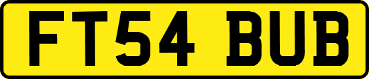 FT54BUB